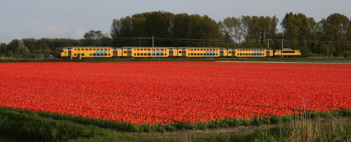Aan de bak na je studie: 'Houd altijd je LinkedIn in de gaten!' - Geo